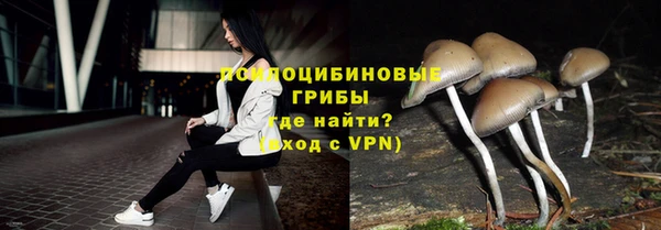 гидра Бронницы