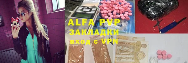 экстази Бородино
