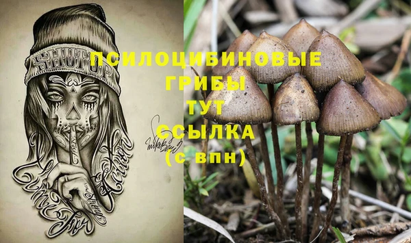 экстази Бородино