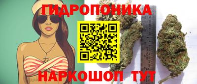 гашиш Анжеро-Судженск