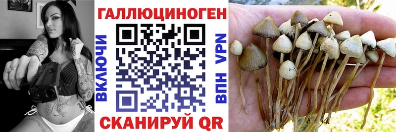 Галлюциногенные грибы ЛСД  Вязники 