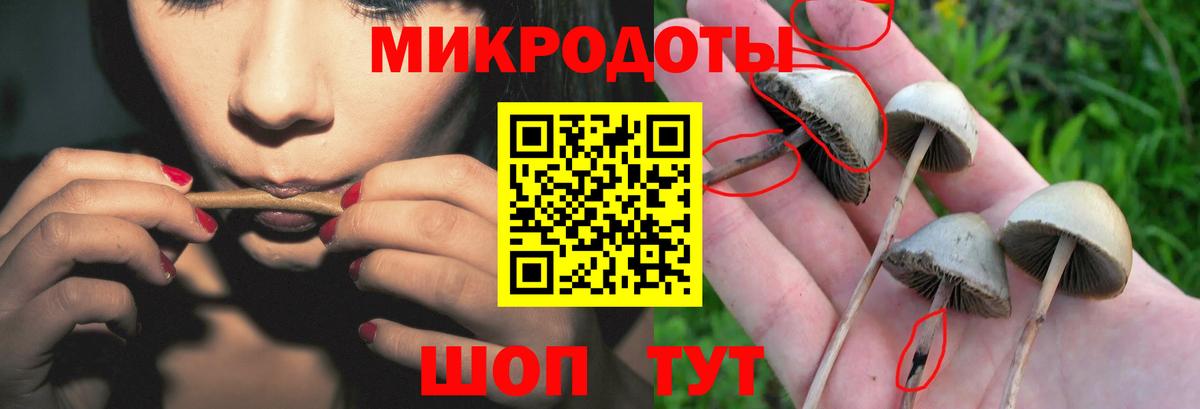 Псилоцибиновые грибы мицелий Вязники