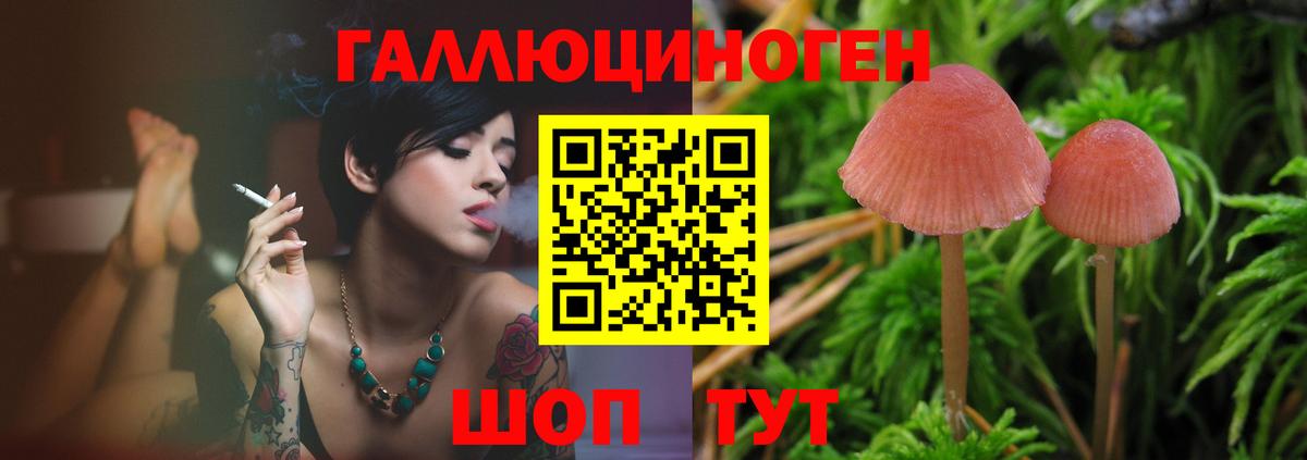 Вязники  Псилоцибиновые грибы Magic Shrooms  Вход с VPN 